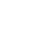 icon medal